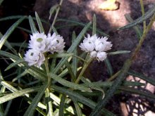 ���}�n�n�R