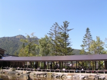 �����������@����