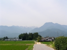 �k�A���v�X�ƗL���R