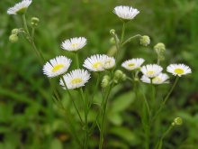 �q���W���I��