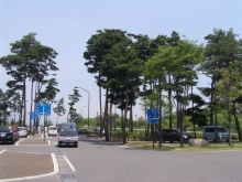 �k�A���v�X�p�m���}���C���́u���̉w���ܖ쏼��v