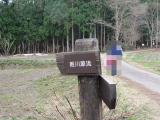 �P�쌹�����R�T����