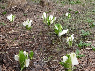 �~�Y�o�V���E