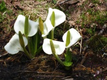 �~�Y�o�V���E