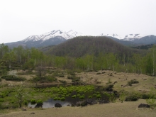 ��̐����n�@�܂��߂̒r����