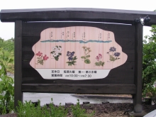 ���F �݂I�̊Ŕ̗�