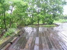 ���؂̒��ԏ�