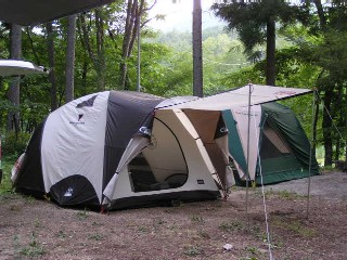 ���F�R�[���}���@�E�F�U�[�}�X�^�[�u���[�Y�h�[���e���g(170T7250J)/�E�F�R�[���}���@�X���[�|�[���h�[��300(149T8350J)