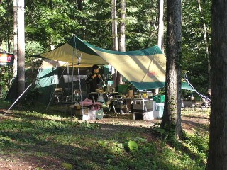 �R�[���}���@�w�L�TDX�^�[�v(170T6600J)