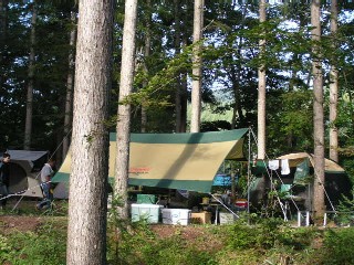 �R�[���}���@�w�L�TDX�^�[�v(170T6600J)