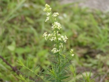 �J�����}�c�o