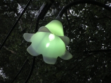 �ސ썂���̊X��