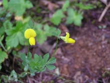 �~���R�O�T