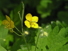 �N�T�m�I�E