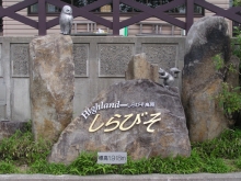 �n�C�����h����т�