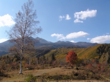 ��ƍ����̑�J�G�f