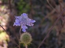 �}�c���V�\�E