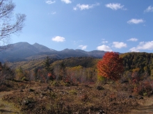 ��ƍ����@��J�G�f