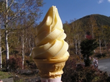 ���]���̃\�t�g�N���[��