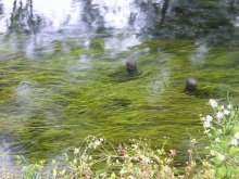 �剤�킳�є_��