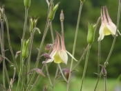 ���}�I�_�}�L