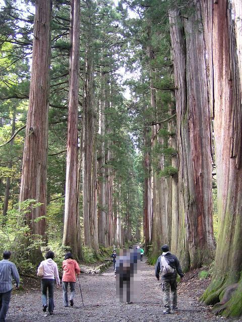 �ˉB�_�Ё@���ЎQ��������