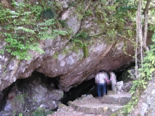 �a�Ǒ��@�֌��̓��A